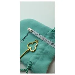 Tiffany & Co. Tiffany & Co Clef Trefoil Doré -Collier Soldes 238237 5