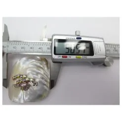 Autres Bijoux NEUF BROCHE CHRISTIAN LACROIX NACRE ET STRASS BIJOU MOTHER OF PEARL BROOCH JEWEL Beige -Collier Soldes 470804 8