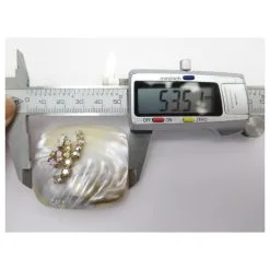 Autres Bijoux NEUF BROCHE CHRISTIAN LACROIX NACRE ET STRASS BIJOU MOTHER OF PEARL BROOCH JEWEL Beige -Collier Soldes 470804 9