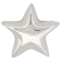 Tiffany & Co. Autres Bijoux VINTAGE BROCHE TIFFANY & CO ETOILE EN ARGENT 925 10G SILVER STERLING STAR BROOCH Argenté